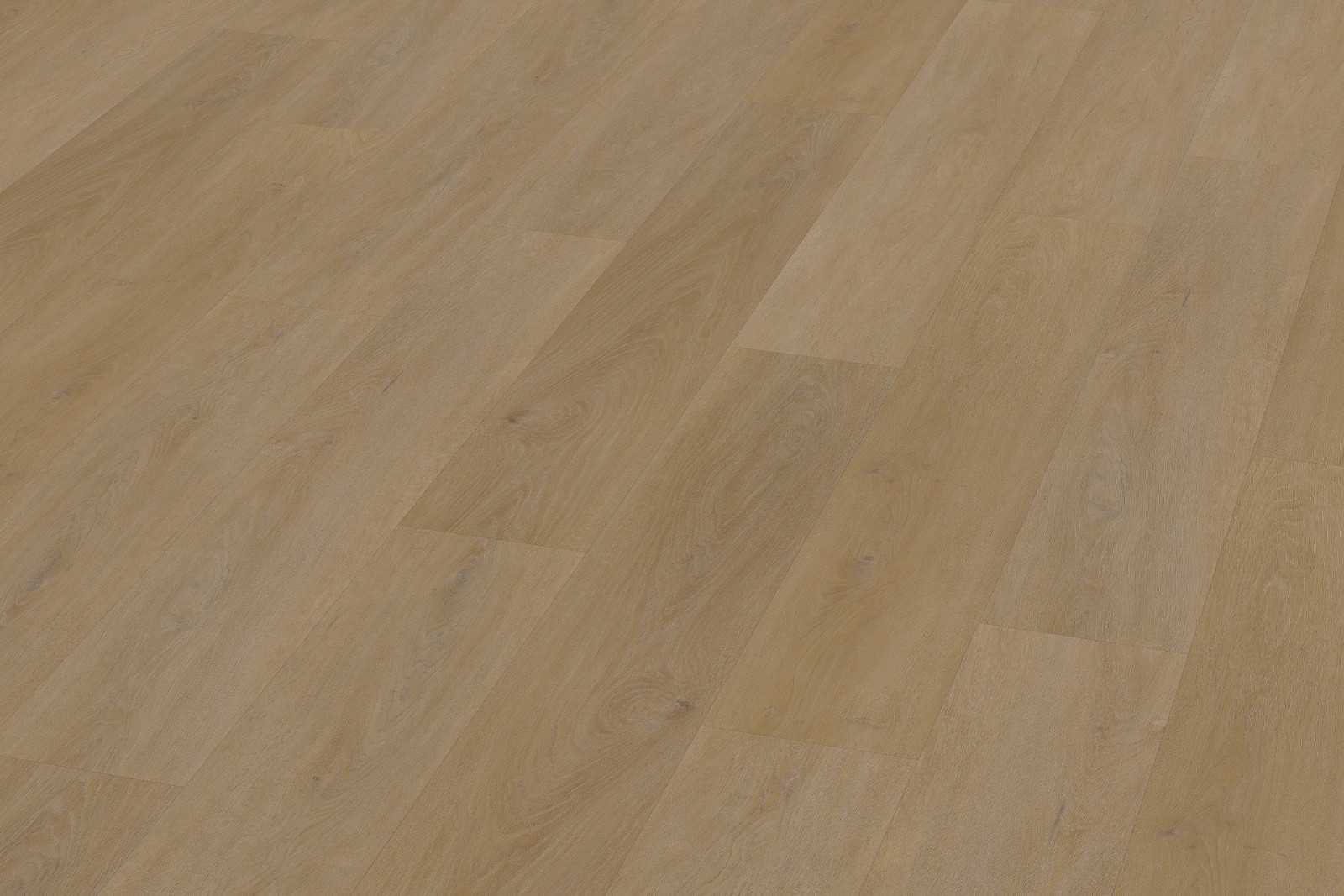 Rigid English Oak Honey XXL - Image 3