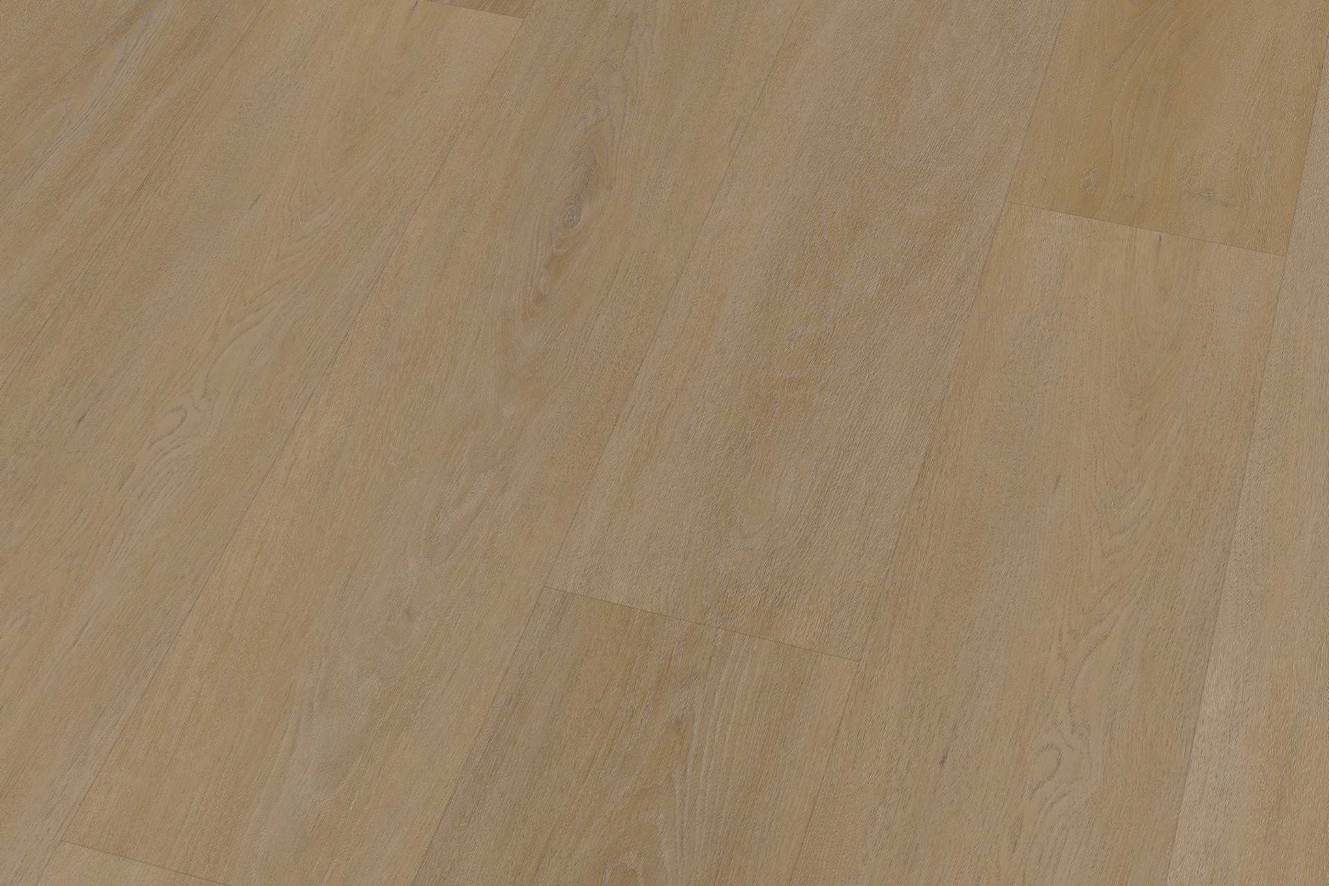Rigid English Oak Honey XXL - Image 4