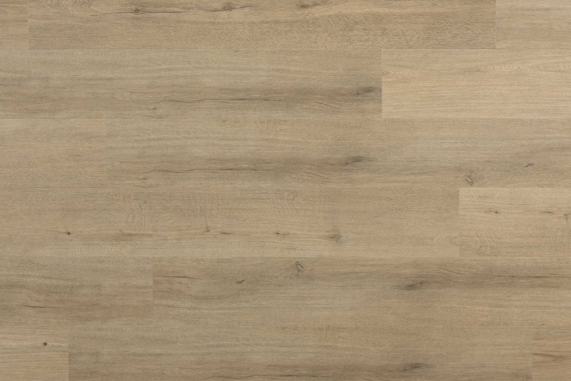 Douro Black Pepper - Image 1