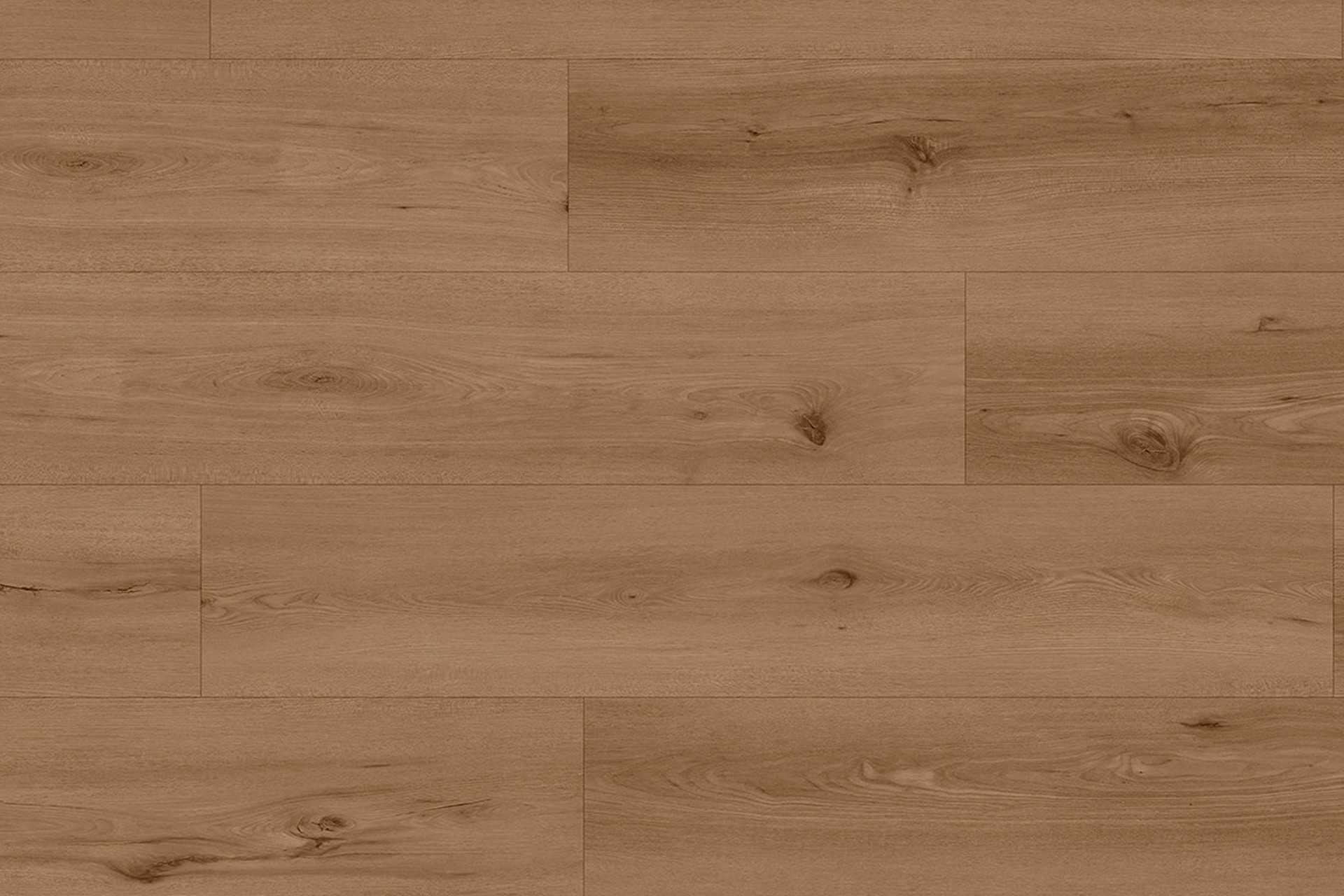 Neva Harvest XXL - Image 1