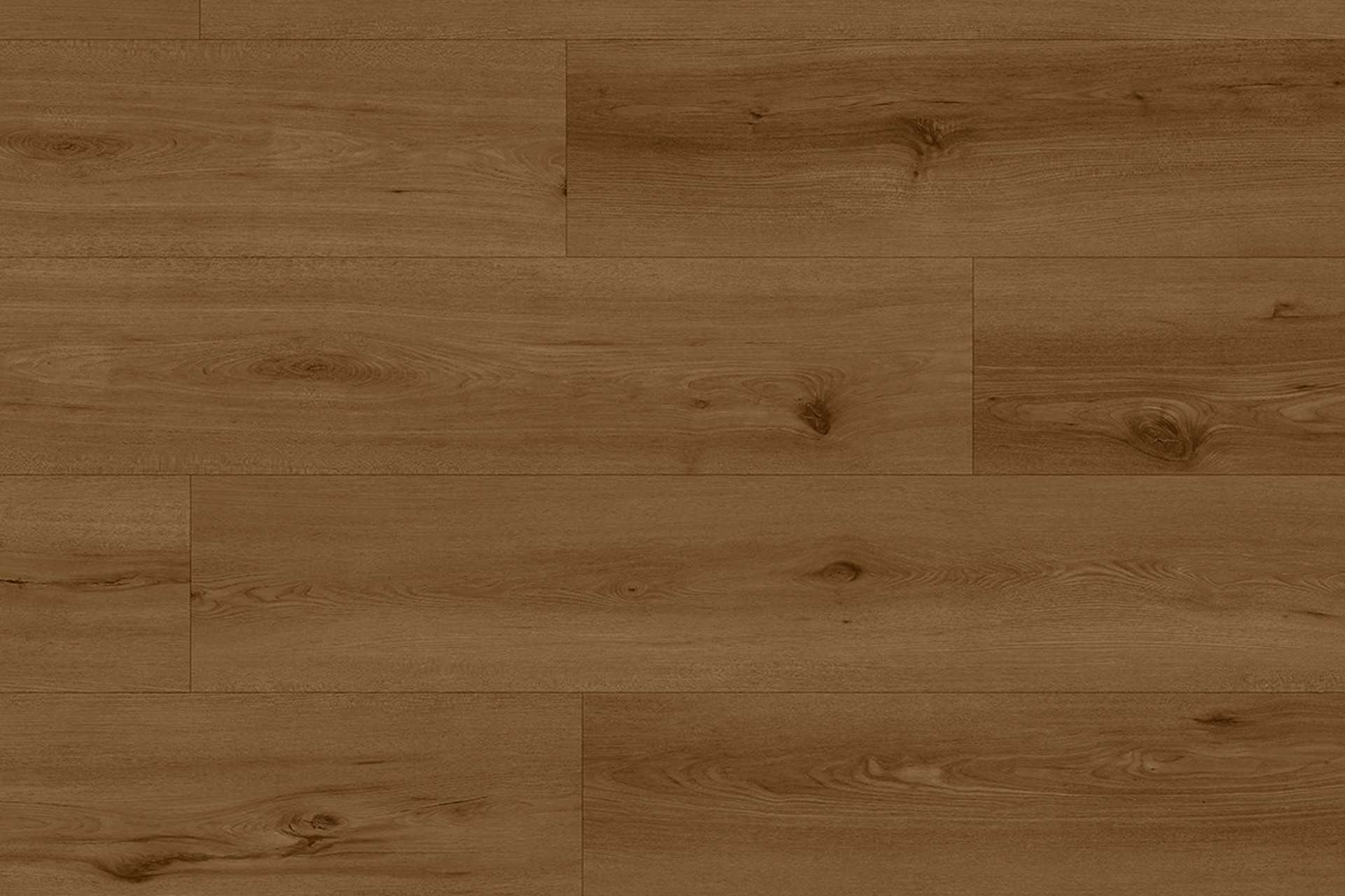 Neva Beaver XXL - Image 1