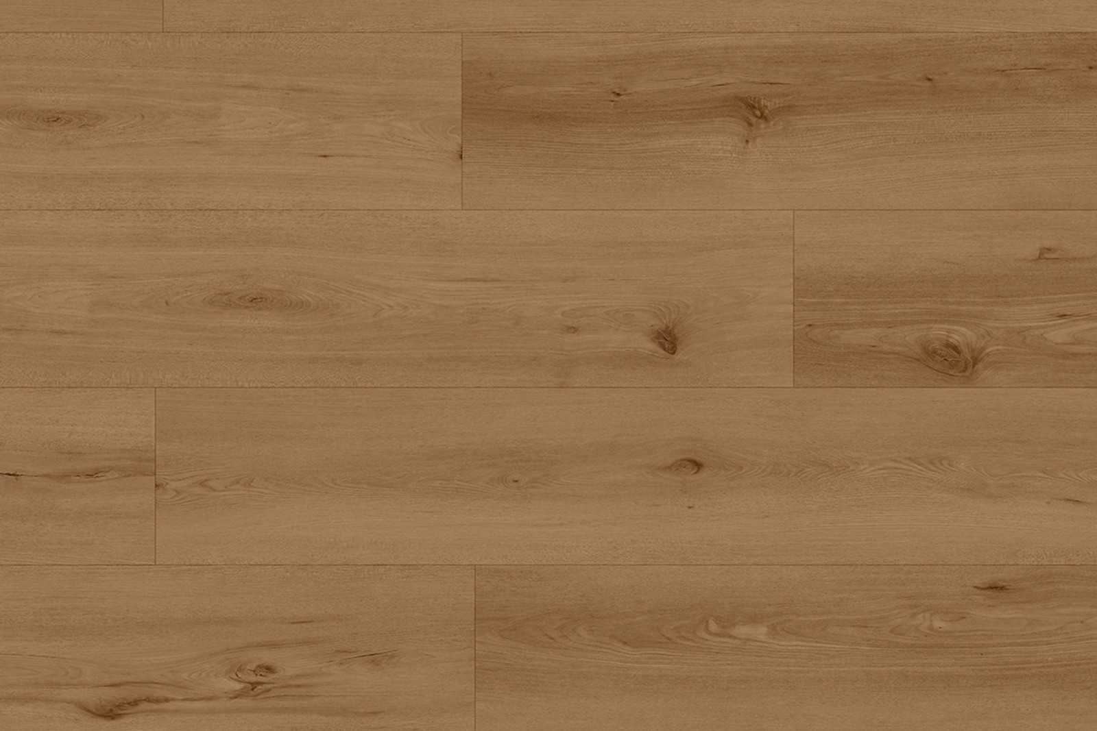 Neva Dolce XXL - Image 2
