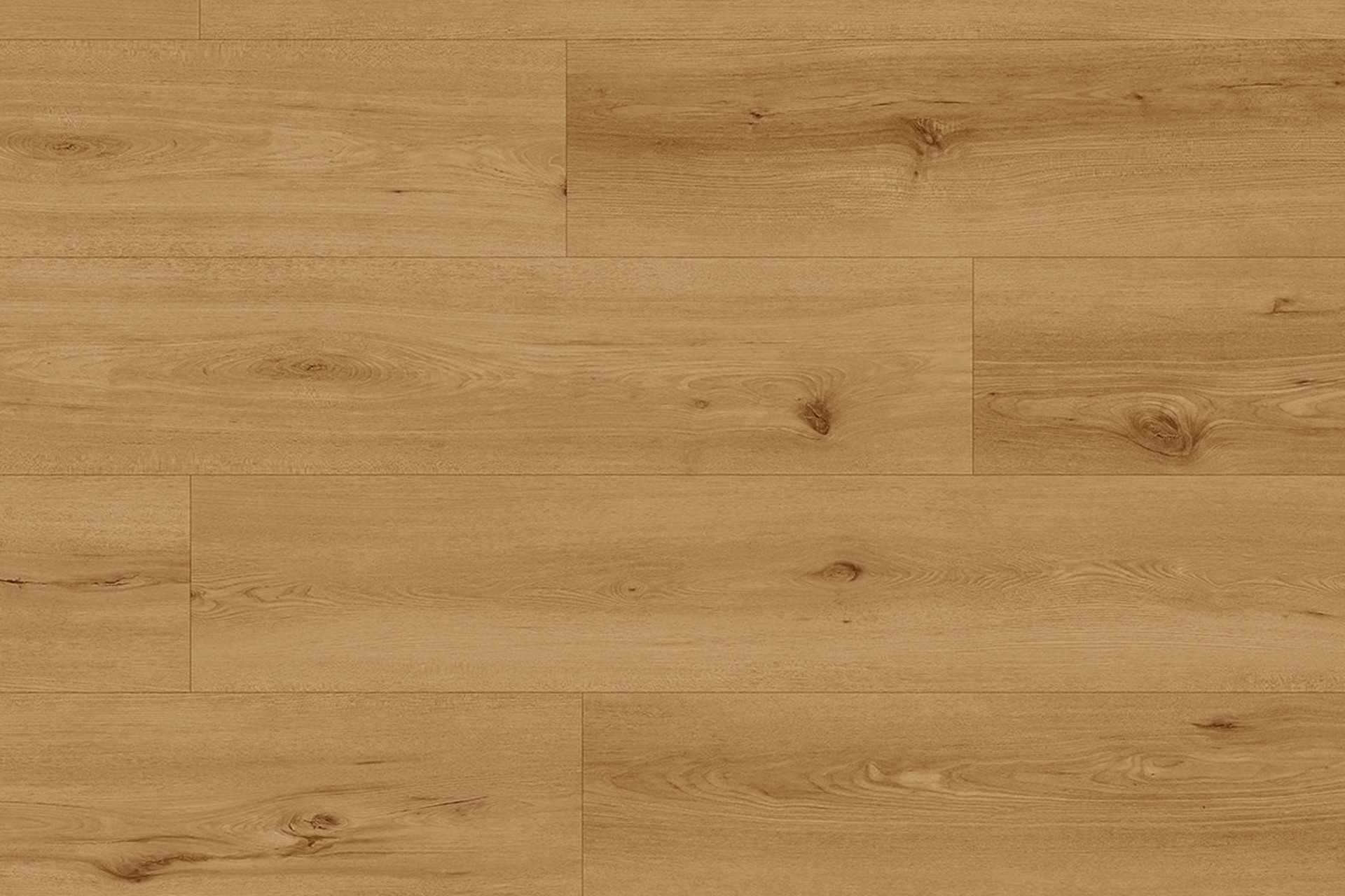 Neva Biscuit XXL - Image 2