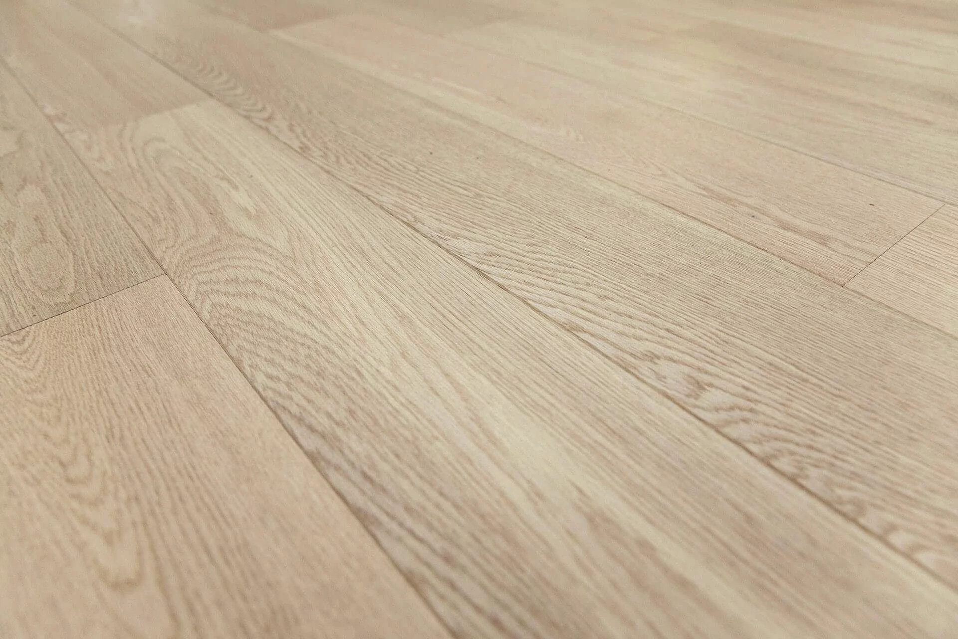 VARNISHED XL SAND SELECTION - Image 3