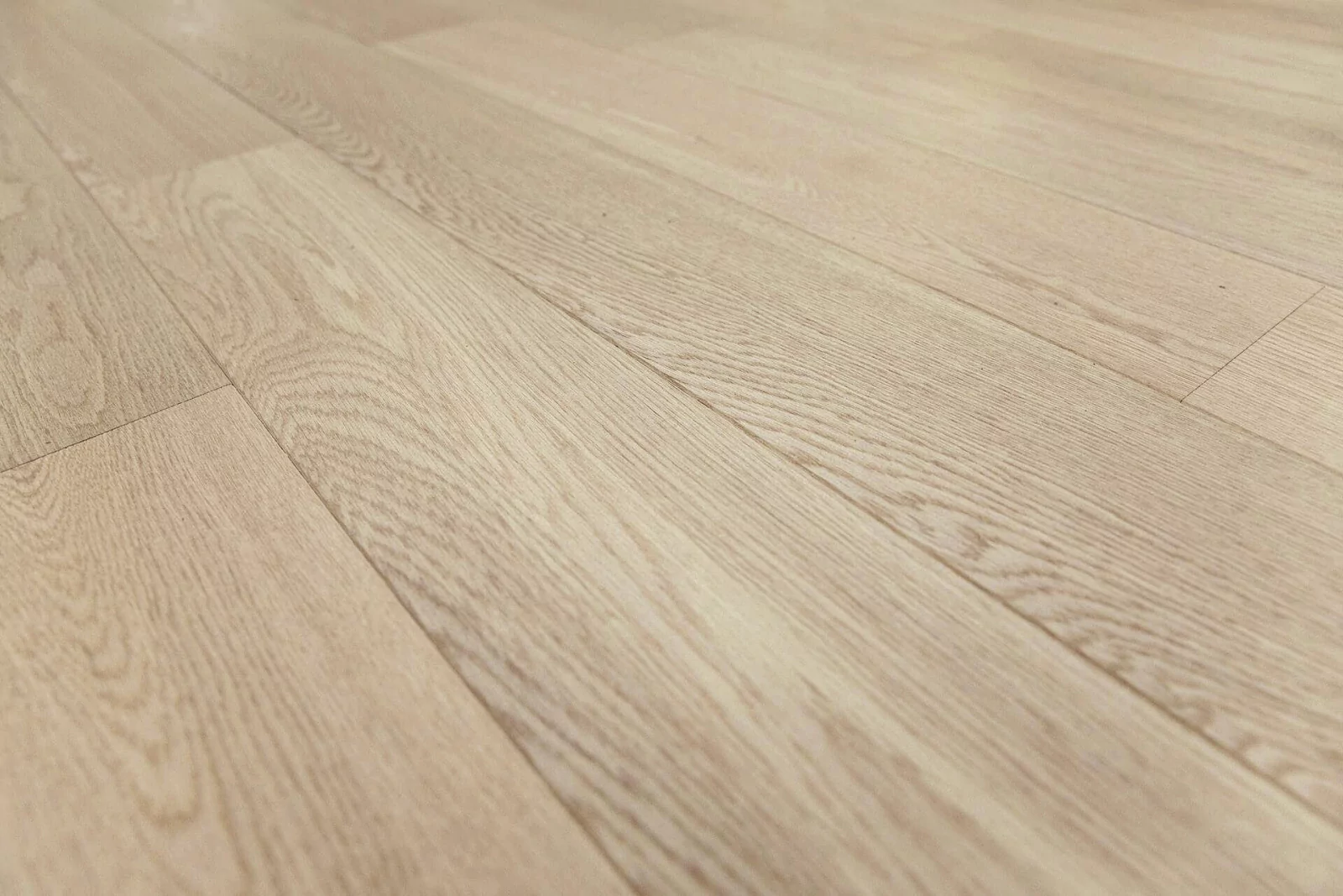 VARNISHED XL SAND SELECTION - Image 3