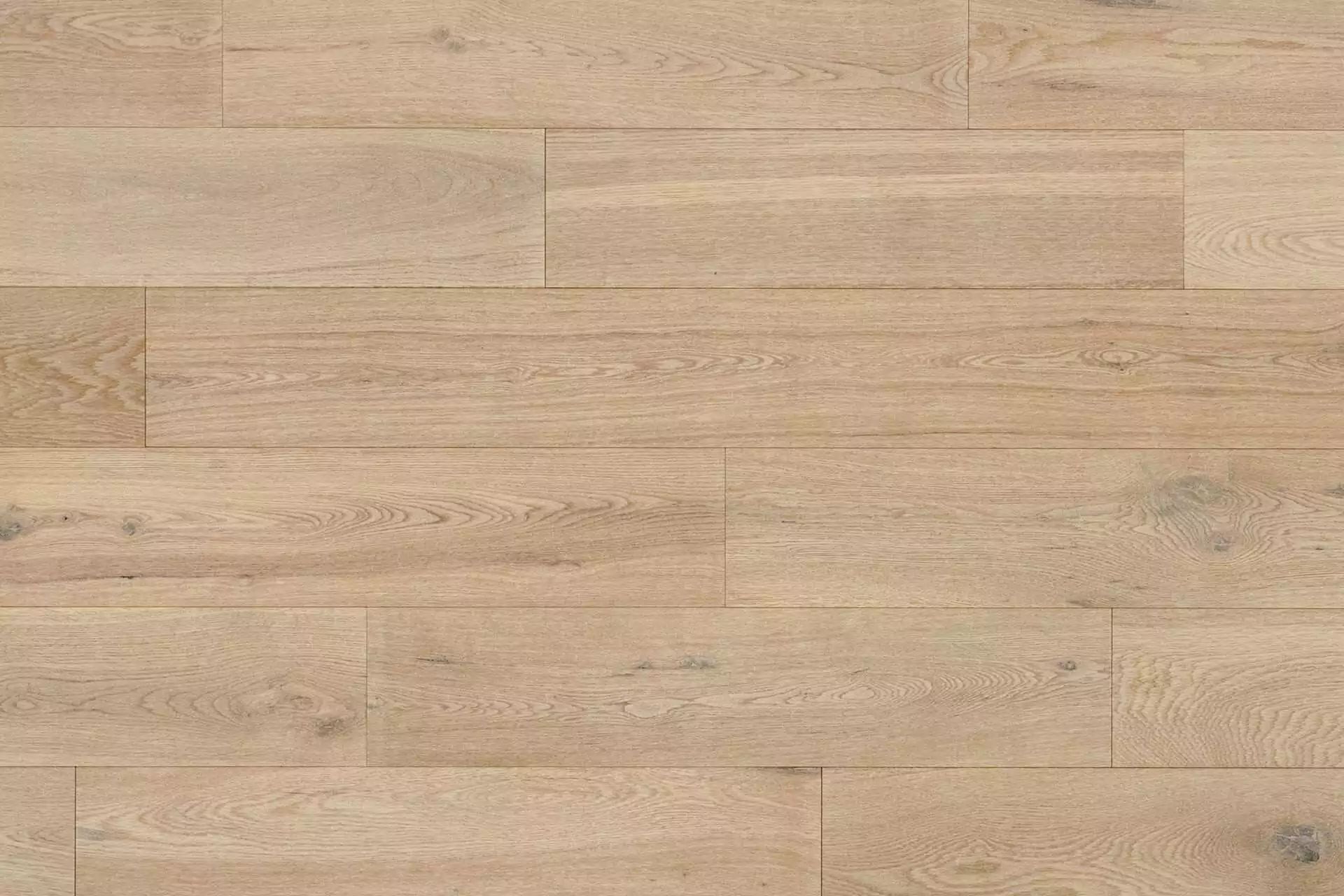 CREMA Authentic Sable - Image 9