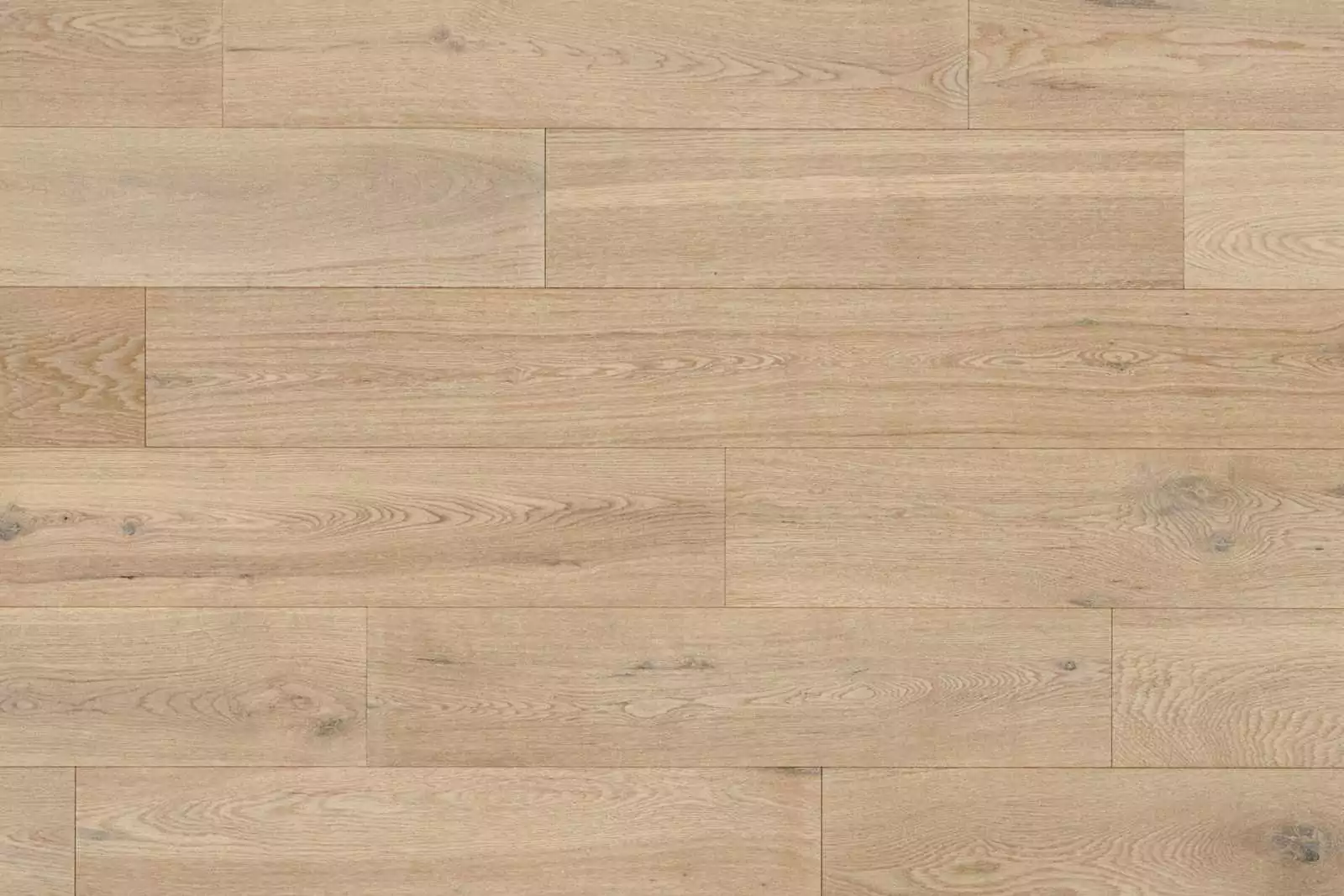Authentic Sable CREMA - Image 9